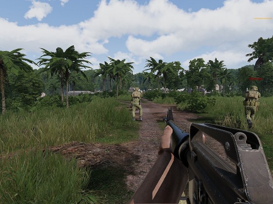 Operation "vietcong-adau"