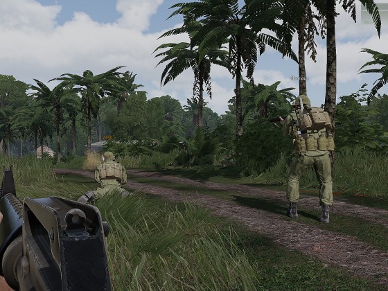 Operation "vietcong-adau"