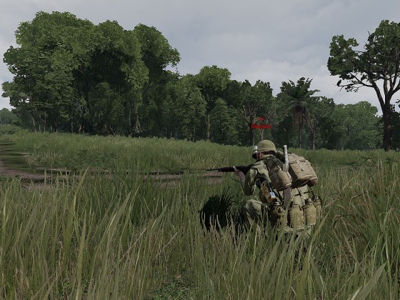 Operation "vietcong-adau"